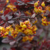 1fclon7m960hr4k_74a6621.jpg@webp